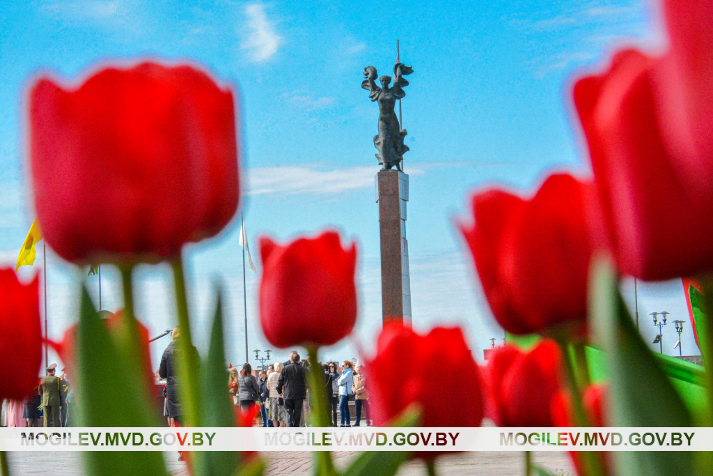 Беларусь помнит картинки