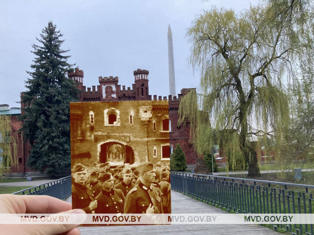 photo_2021-05-03_13-11-50